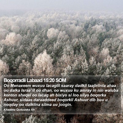 Boqorradii Labaad 15:20 SOM Bible Verse Image