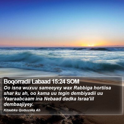 Boqorradii Labaad 15:24 SOM Bible Verse Image