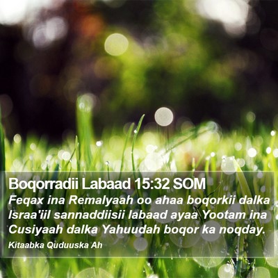 Boqorradii Labaad 15:32 SOM Bible Verse Image