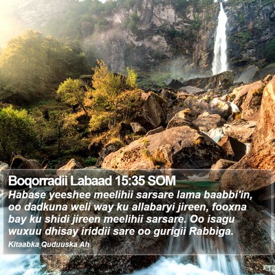Boqorradii Labaad 15:35 SOM Bible Verse Image
