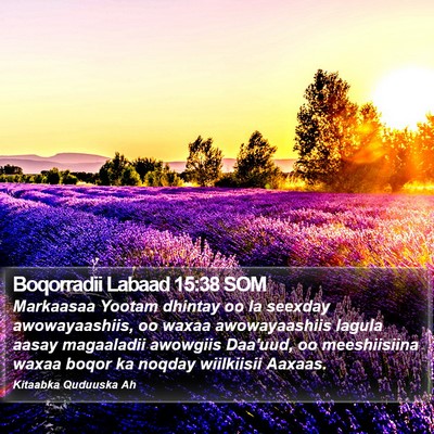Boqorradii Labaad 15:38 SOM Bible Verse Image