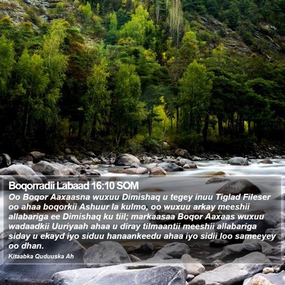 Boqorradii Labaad 16:10 SOM Bible Verse Image