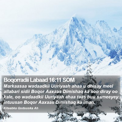 Boqorradii Labaad 16:11 SOM Bible Verse Image