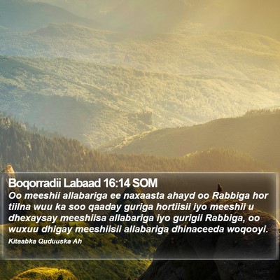 Boqorradii Labaad 16:14 SOM Bible Verse Image