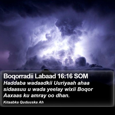 Boqorradii Labaad 16:16 SOM Bible Verse Image