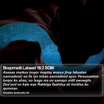 Boqorradii Labaad 16:2 SOM Bible Verse Image