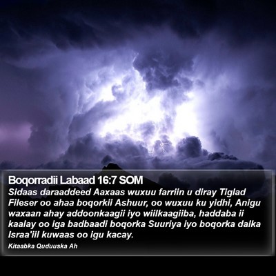 Boqorradii Labaad 16:7 SOM Bible Verse Image
