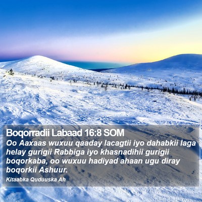 Boqorradii Labaad 16:8 SOM Bible Verse Image