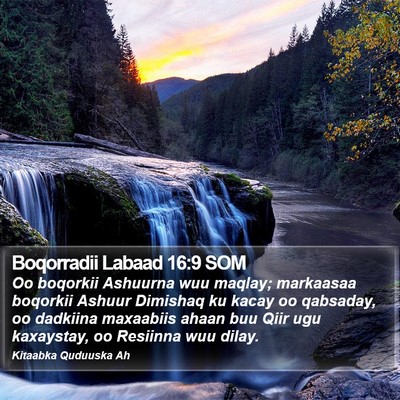 Boqorradii Labaad 16:9 SOM Bible Verse Image