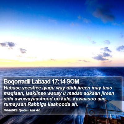 Boqorradii Labaad 17:14 SOM Bible Verse Image