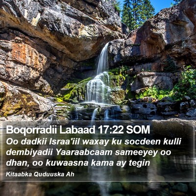 Boqorradii Labaad 17:22 SOM Bible Verse Image