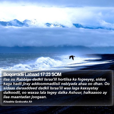 Boqorradii Labaad 17:23 SOM Bible Verse Image