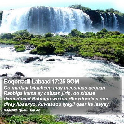 Boqorradii Labaad 17:25 SOM Bible Verse Image