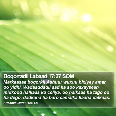 Boqorradii Labaad 17:27 SOM Bible Verse Image