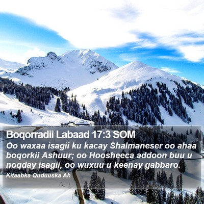 Boqorradii Labaad 17:3 SOM Bible Verse Image