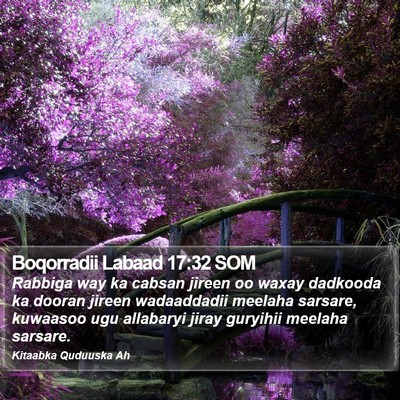 Boqorradii Labaad 17:32 SOM Bible Verse Image