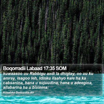 Boqorradii Labaad 17:35 SOM Bible Verse Image