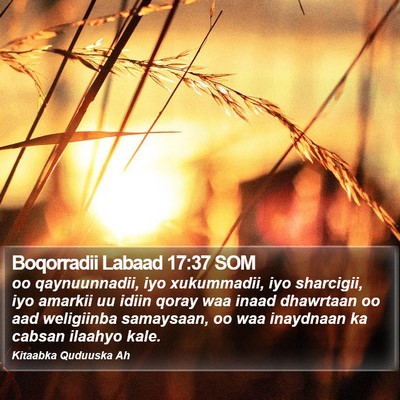 Boqorradii Labaad 17:37 SOM Bible Verse Image