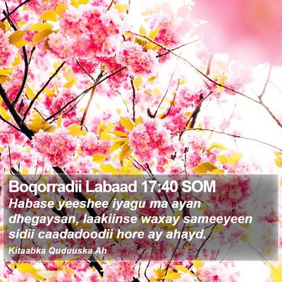Boqorradii Labaad 17:40 SOM Bible Verse Image