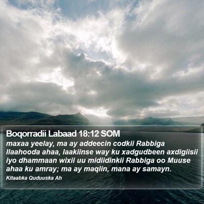 Boqorradii Labaad 18:12 SOM Bible Verse Image