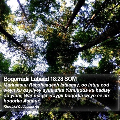 Boqorradii Labaad 18:28 SOM Bible Verse Image