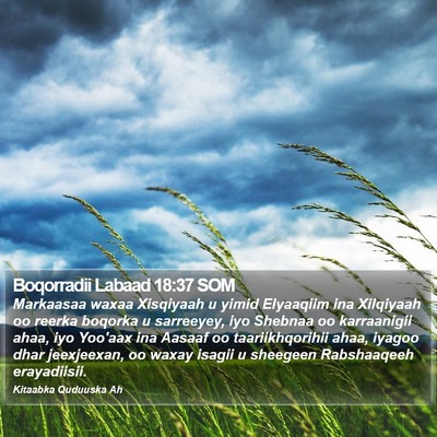 Boqorradii Labaad 18:37 SOM Bible Verse Image