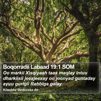 Boqorradii Labaad 19:1 SOM Bible Verse Image
