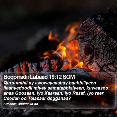 Boqorradii Labaad 19:12 SOM Bible Verse Image