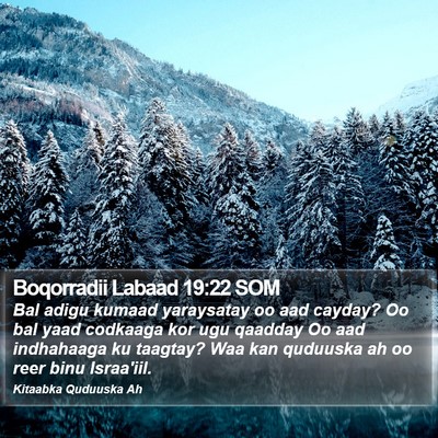 Boqorradii Labaad 19:22 SOM Bible Verse Image