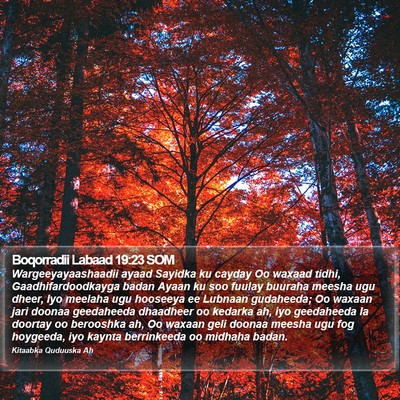 Boqorradii Labaad 19:23 SOM Bible Verse Image