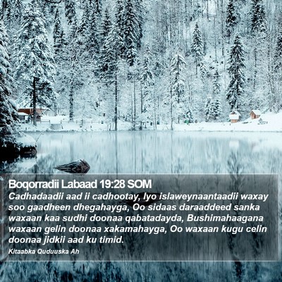 Boqorradii Labaad 19:28 SOM Bible Verse Image