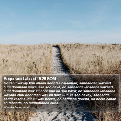 Boqorradii Labaad 19:29 SOM Bible Verse Image