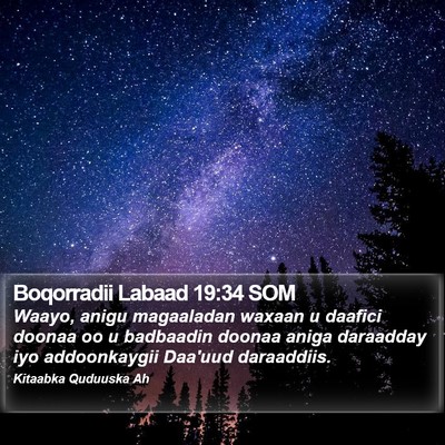Boqorradii Labaad 19:34 SOM Bible Verse Image