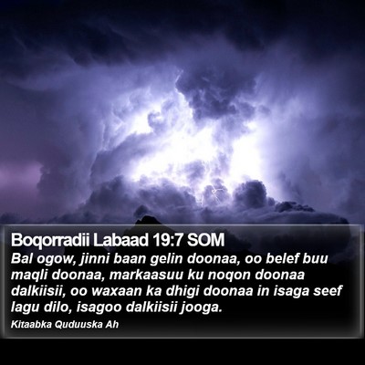 Boqorradii Labaad 19:7 SOM Bible Verse Image