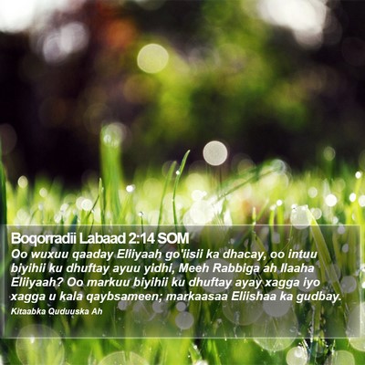 Boqorradii Labaad 2:14 SOM Bible Verse Image