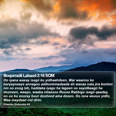 Boqorradii Labaad 2:16 SOM Bible Verse Image