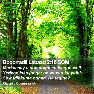 Boqorradii Labaad 2:18 SOM Bible Verse Image