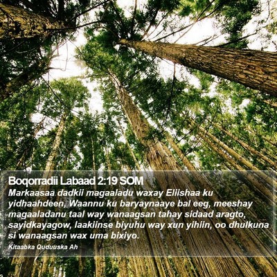 Boqorradii Labaad 2:19 SOM Bible Verse Image