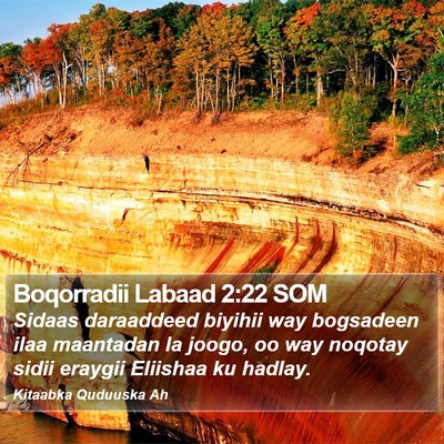 Boqorradii Labaad 2:22 SOM Bible Verse Image
