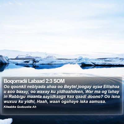 Boqorradii Labaad 2:3 SOM Bible Verse Image