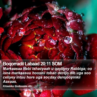 Boqorradii Labaad 20:11 SOM Bible Verse Image