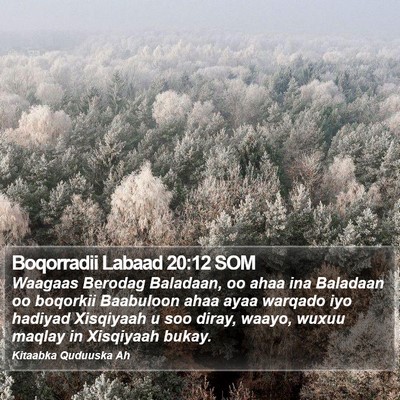 Boqorradii Labaad 20:12 SOM Bible Verse Image