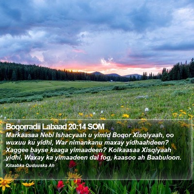 Boqorradii Labaad 20:14 SOM Bible Verse Image