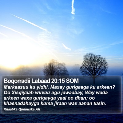 Boqorradii Labaad 20:15 SOM Bible Verse Image