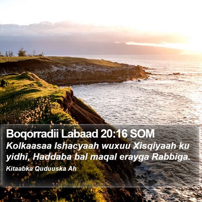 Boqorradii Labaad 20:16 SOM Bible Verse Image