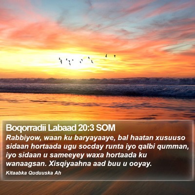 Boqorradii Labaad 20:3 SOM Bible Verse Image