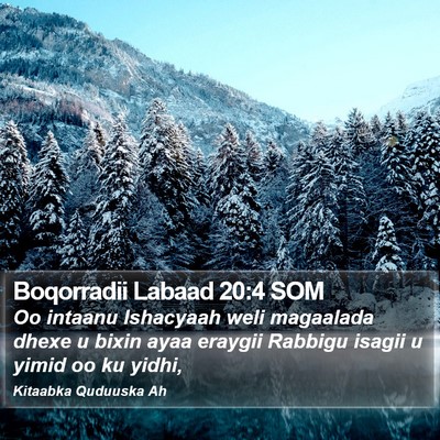 Boqorradii Labaad 20:4 SOM Bible Verse Image