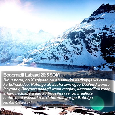 Boqorradii Labaad 20:5 SOM Bible Verse Image