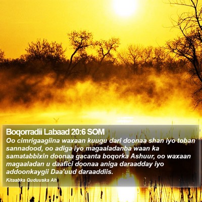 Boqorradii Labaad 20:6 SOM Bible Verse Image