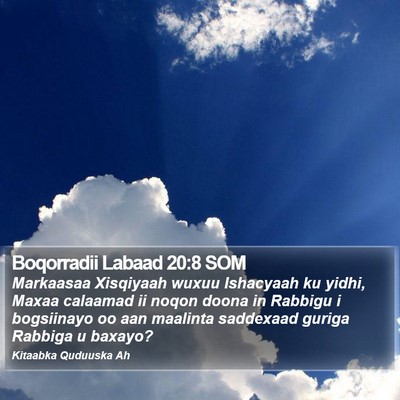 Boqorradii Labaad 20:8 SOM Bible Verse Image